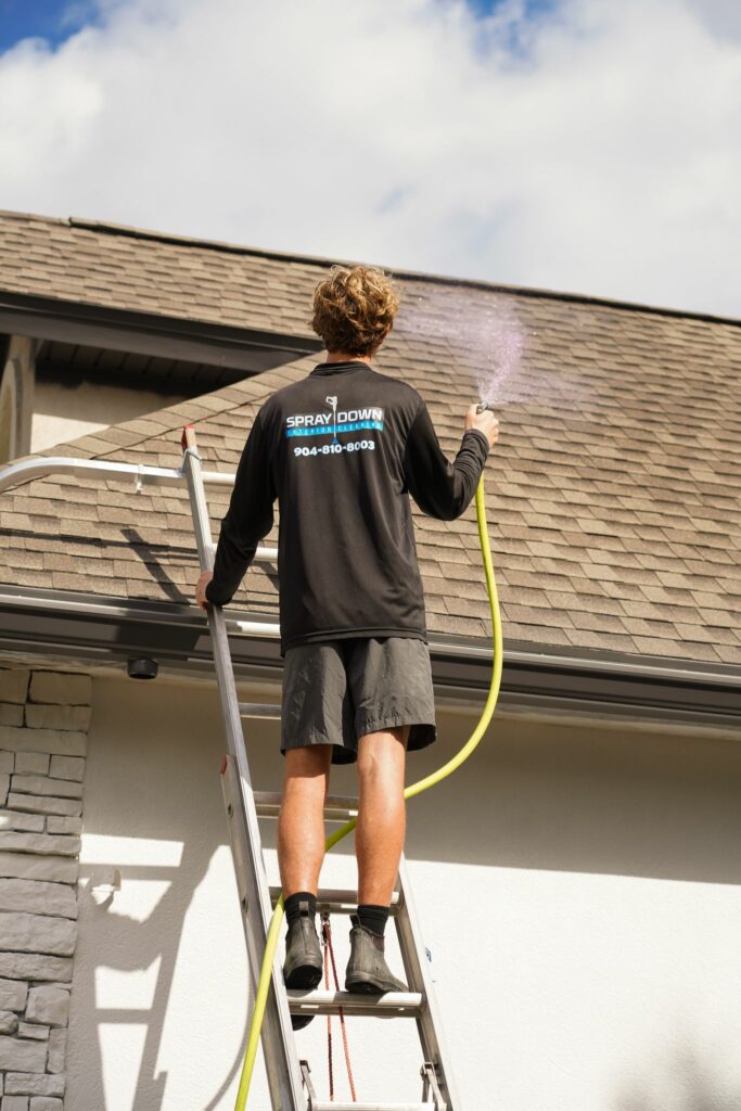 Softwash roof cleaning Ponte vedra