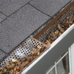 Gutter Cleaning Services in Ponte Vedra Beach