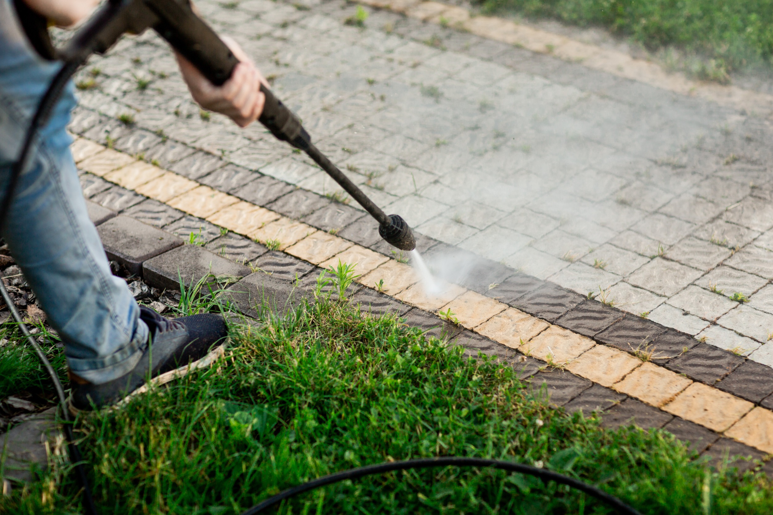 Tips to Stop Weeds From Growing on Your Paver Patio & Walkways